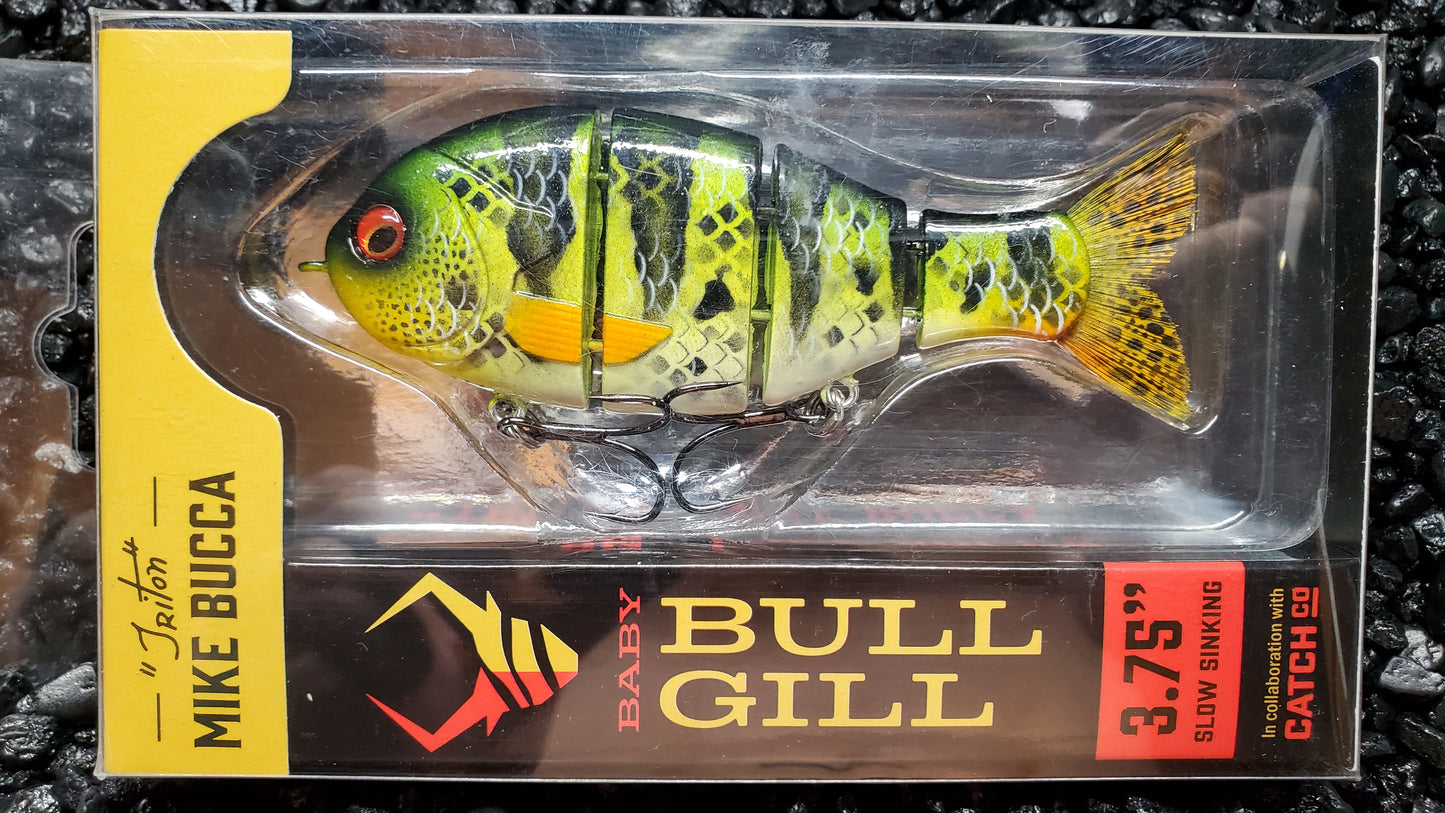 Mike Bucca Baby Bull Gill Custom Repainted Swimbait Perch Pattern