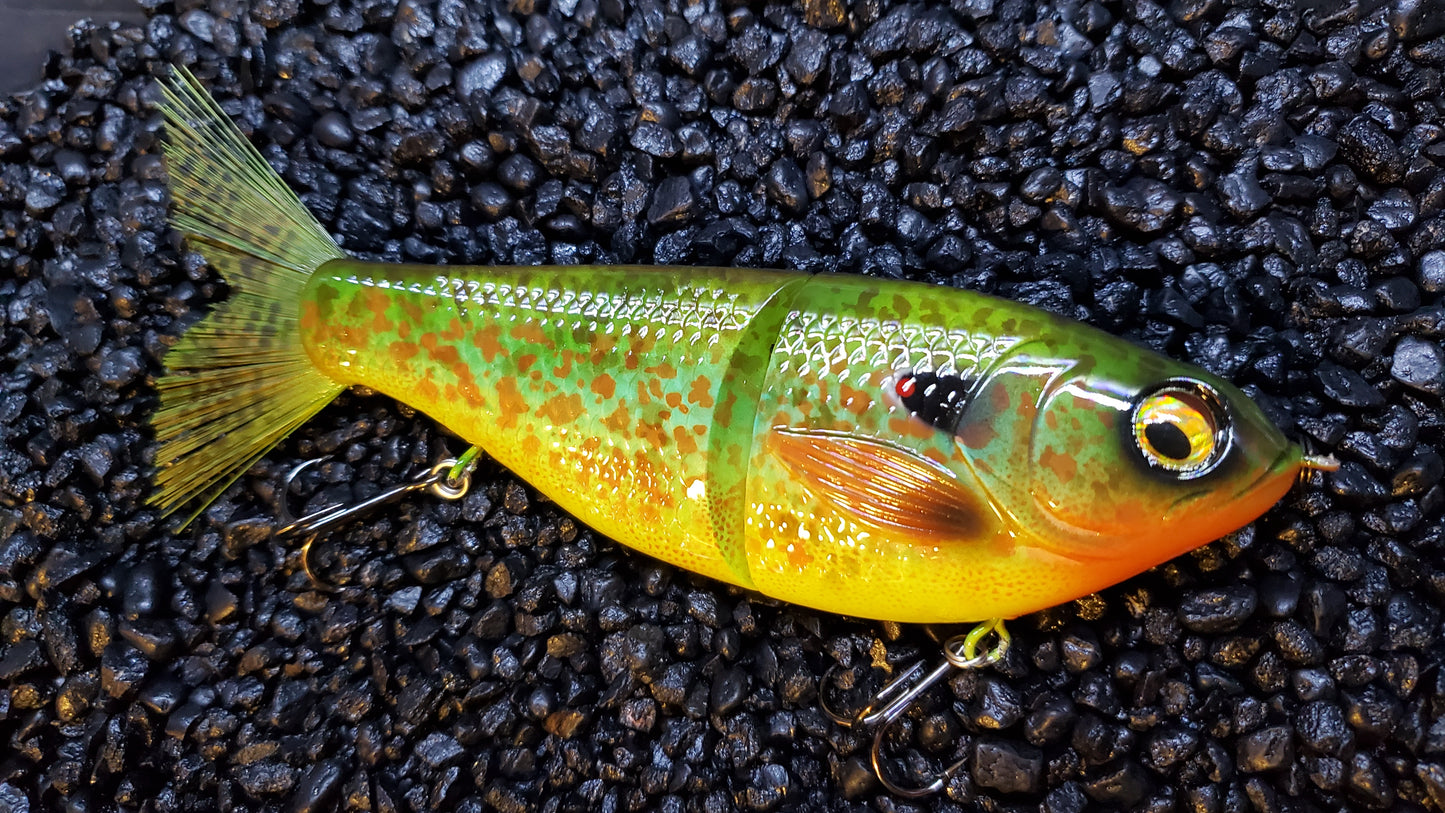 7" Big Belly Swimbait Pumpkinseed