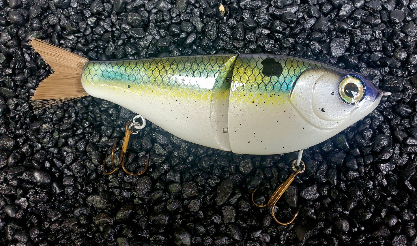 CUSTOMIZED 7" Big Belly Glidebait Sexy Shad