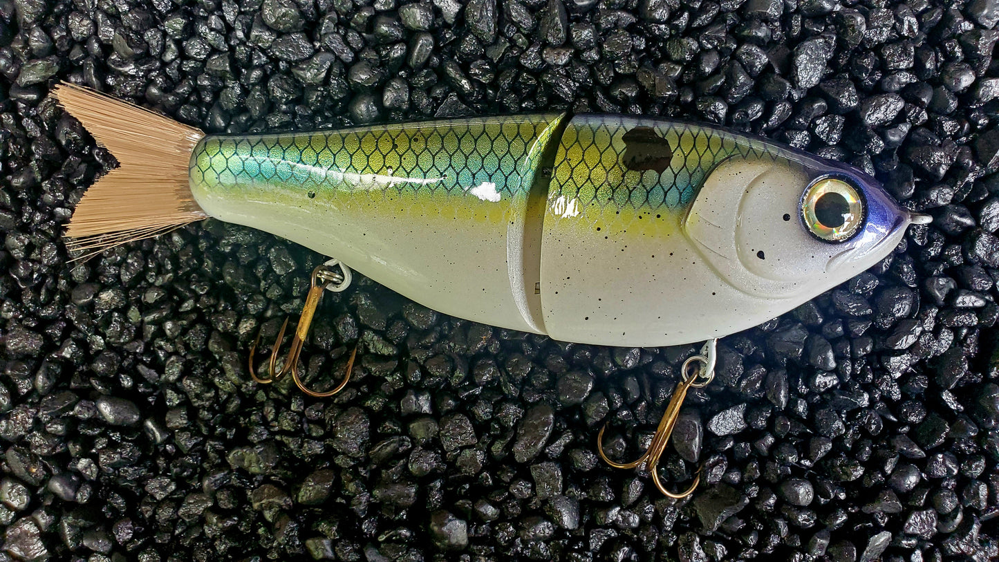 CUSTOMIZED 7" Big Belly Glidebait Sexy Shad