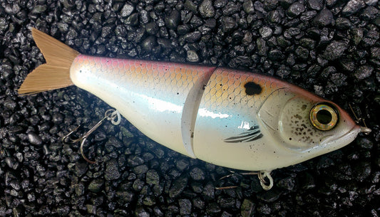 CUSTOMIZED 7" Big Belly Glidebait Goldenberry Shad