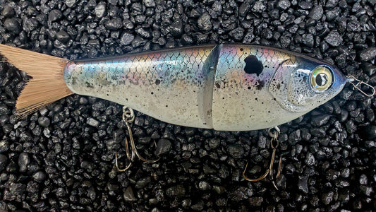 CUSTOMIZED 7" Big Belly Glidebait Dirty Prism Shad