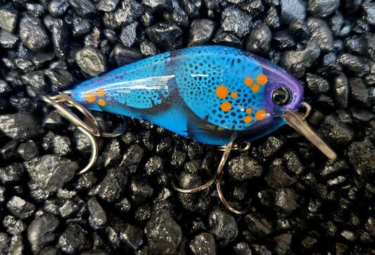 KVD 1.0 Custom Repainted Squarebill Sapphire Craw