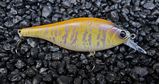 Passionfruit Flatside Jerkbait