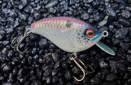 Goldenberry Shad Flatside Crankbait