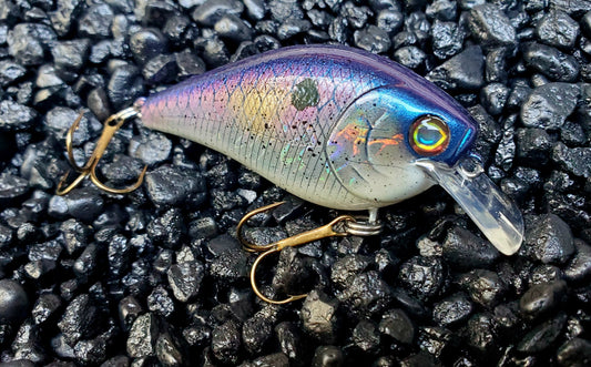 Holographic Goldenberry Shad 1.5 Squarebill