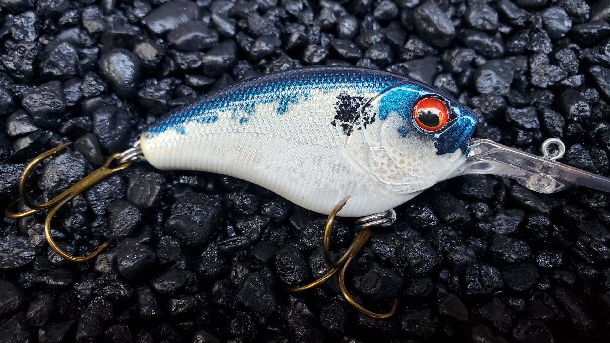 combat fishing lures Blueback Shad Coffinbill Combat Crank Diver – Northwoods Lures