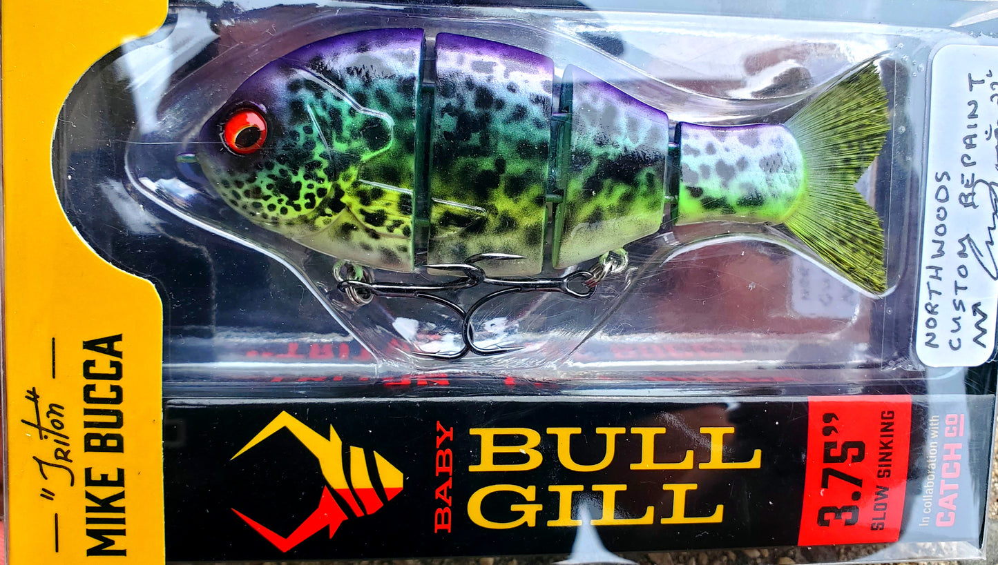 Mike Bucca Baby Bull Gill Custom Repainted Swimbait Crappie Pattern