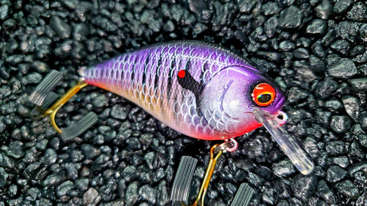 Purple Bluegill 2.5 Squarebill