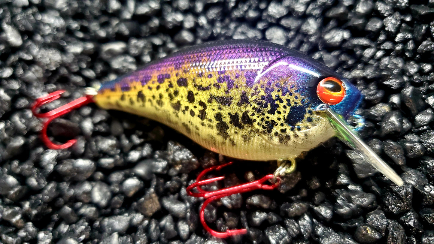 Crappie 2.5 Squarebill SALE