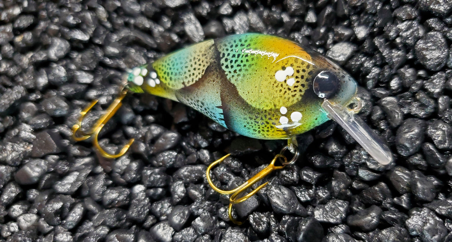 Molting Craw 1.5 Squarebill