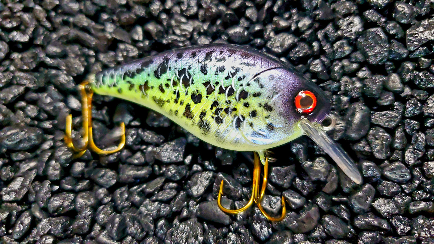 Crappie 1.5 Squarebill