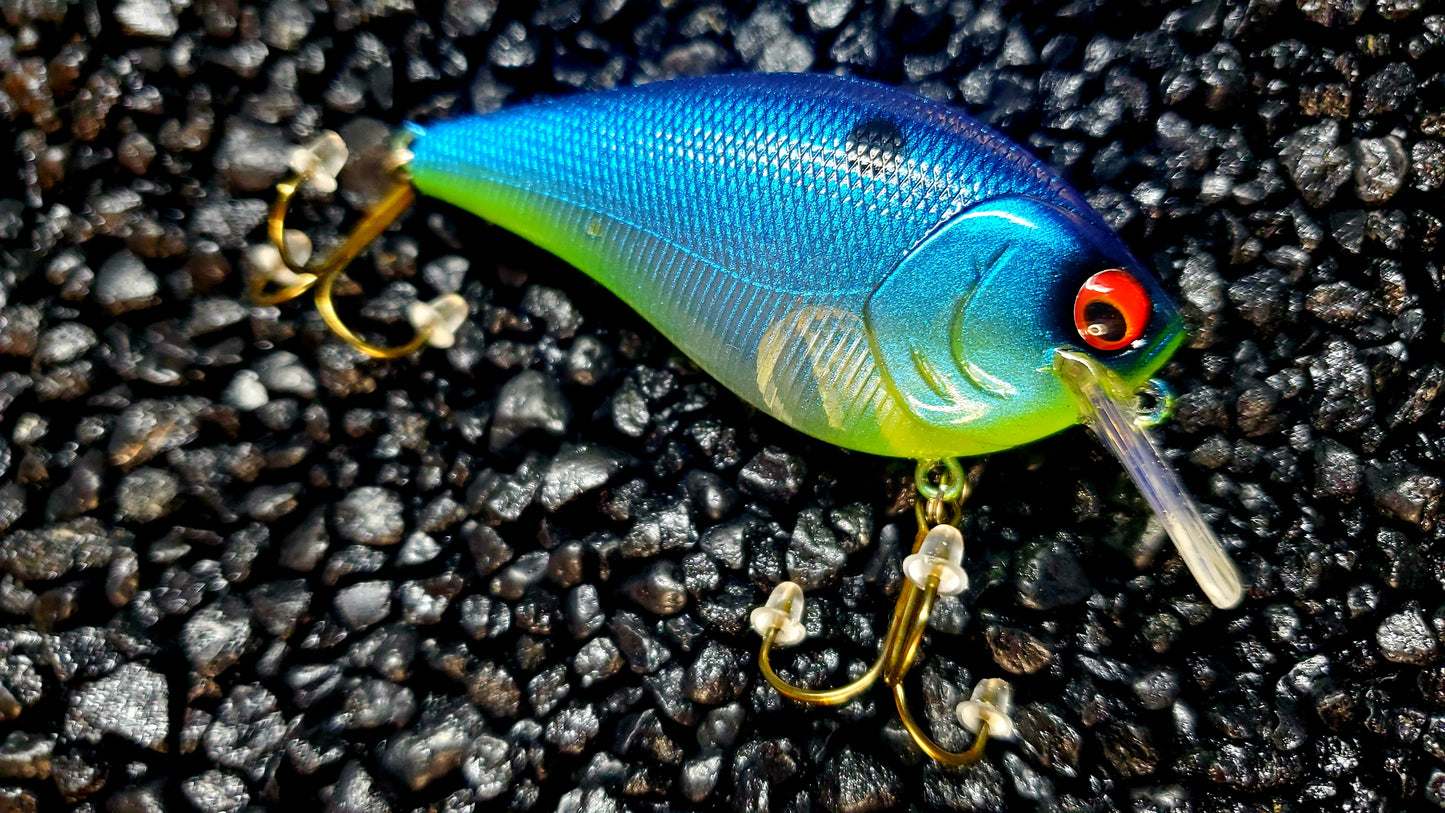 Sapphire Chartreuse Ghost Shad 2.5 Squarebill