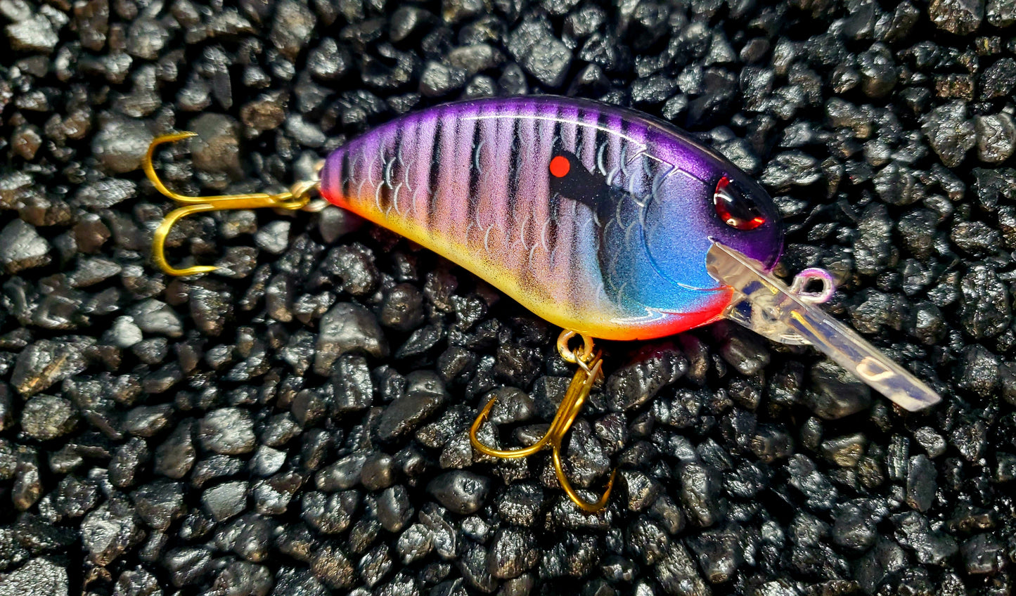 Purple Bluegill Little John Med Diver