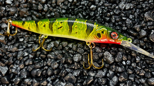 Peacock Bass 110+ Jerkbait