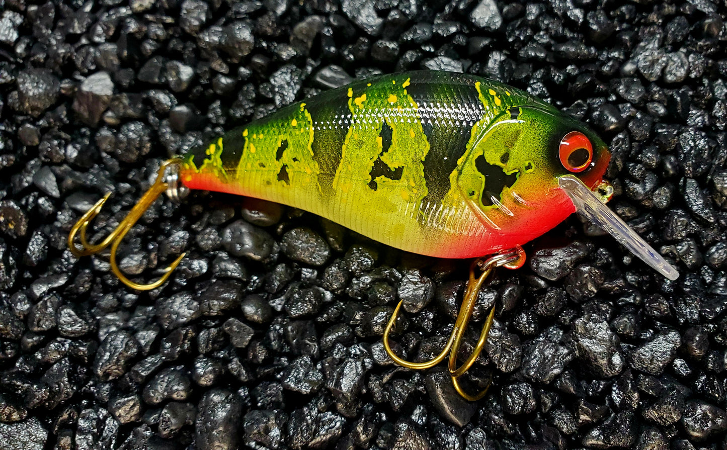 Peacock Bass 2.5 Squarebill