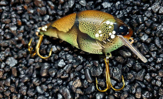 River Craw 2.5 Squarebill