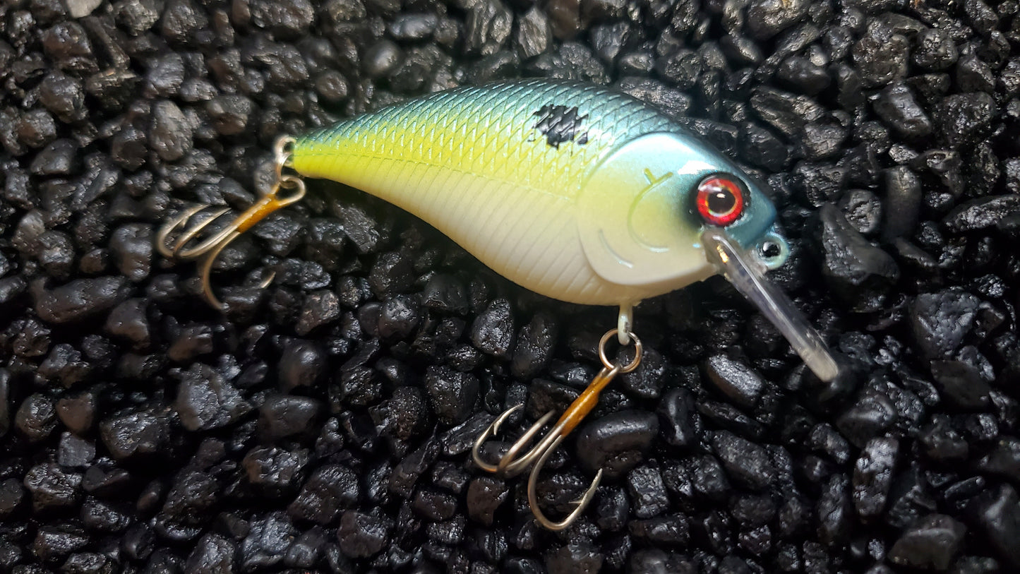 Sexy Shad 1.5 Squarebill