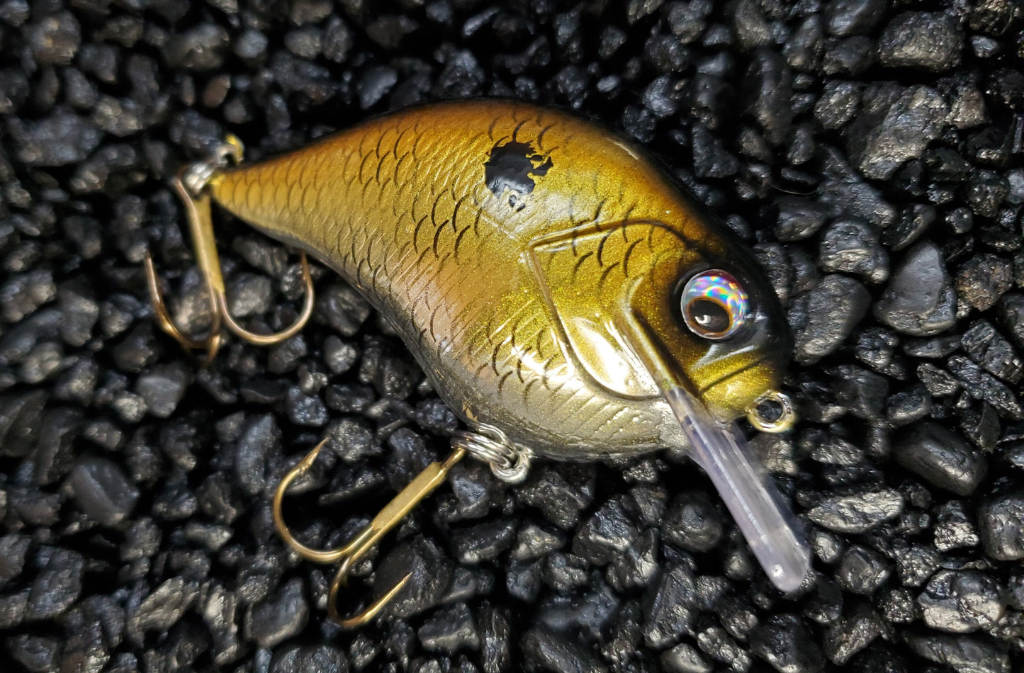 Gold & Chrome Shiner Shad S-Crank