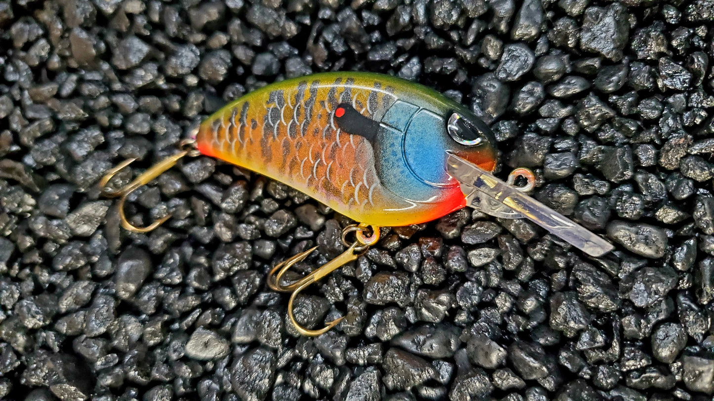 Natural Bluegill Little John Med Diver