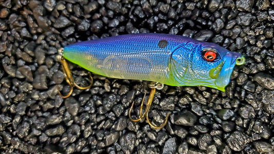 Cobalt Chartreuse Ghost Shad Pop Max Popper