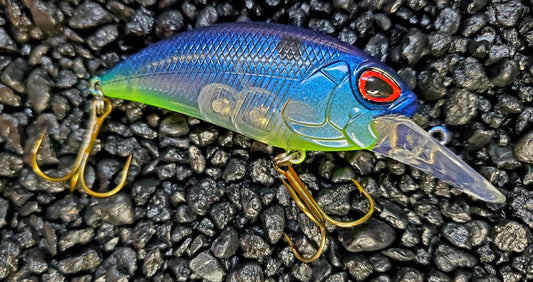 Cobalt Chartreuse Ghost Shad M65 Deep Diver